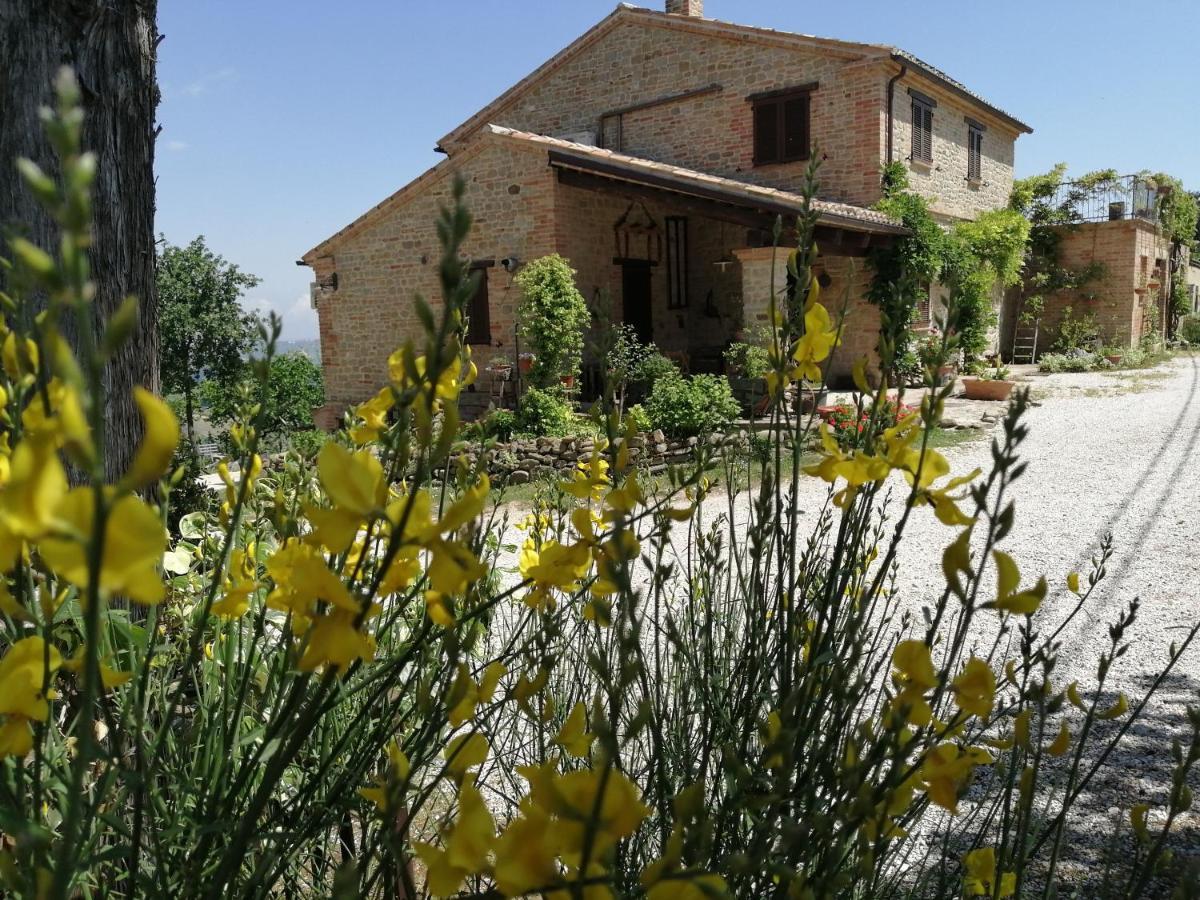Casale San Martino Agriturismo Bio Sant'Angelo in Pontano Exterior photo