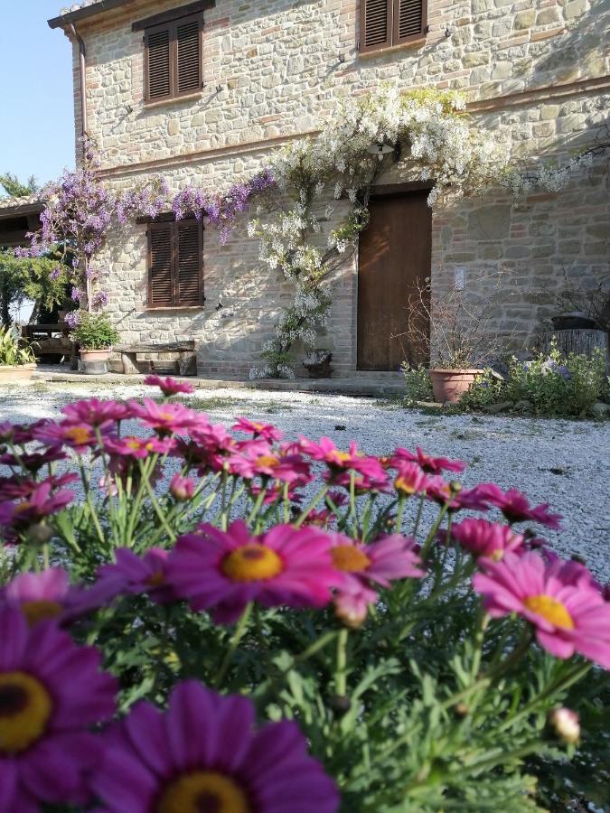 Casale San Martino Agriturismo Bio Sant'Angelo in Pontano Exterior photo