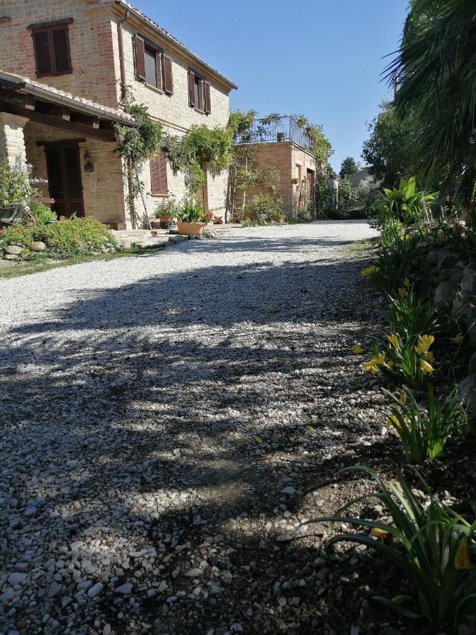 Casale San Martino Agriturismo Bio Sant'Angelo in Pontano Exterior photo