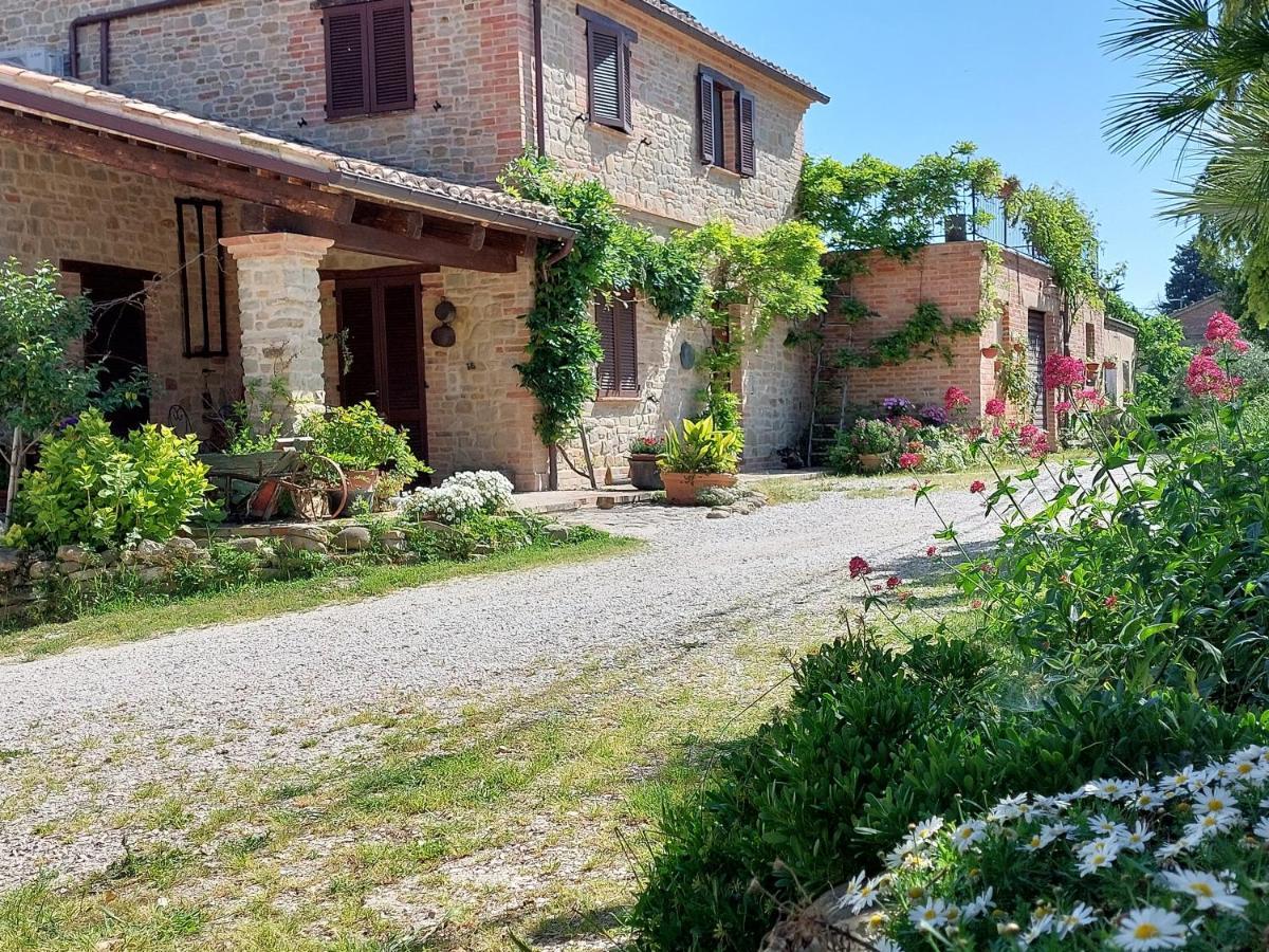Casale San Martino Agriturismo Bio Sant'Angelo in Pontano Exterior photo