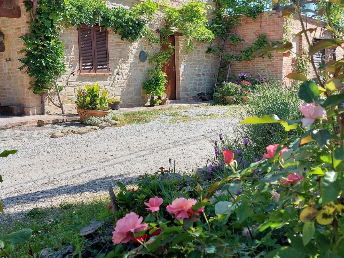 Casale San Martino Agriturismo Bio Sant'Angelo in Pontano Exterior photo